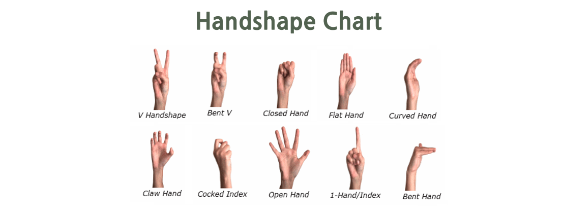 Hand shape chart